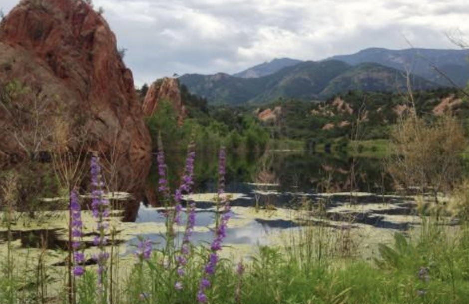 Scenic wetland with purple wildflowers, red rock formations, and mountain peaks reflected in calm water, highlighting natural habitats and environmental landscape preservation.